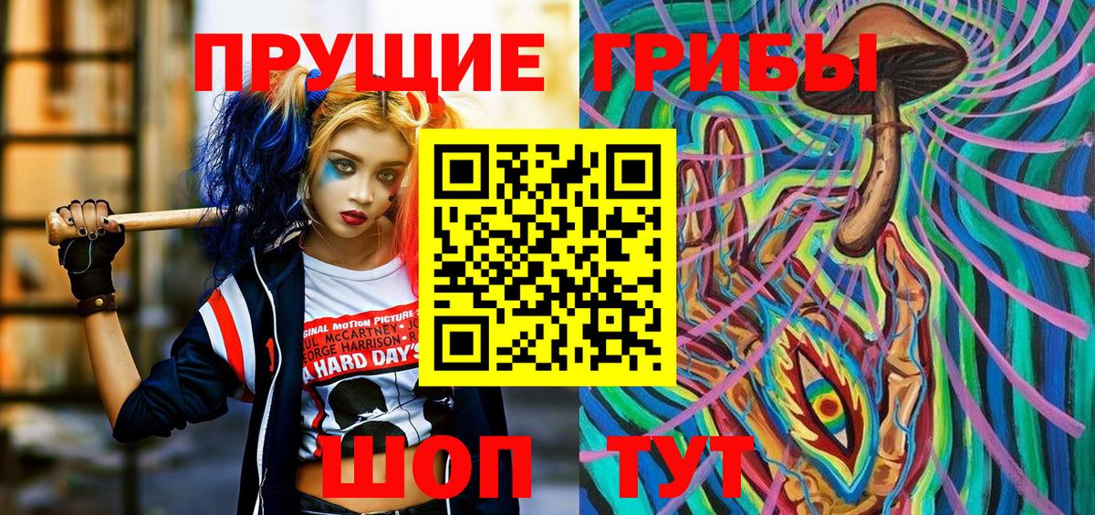 Псилоцибиновые грибы мухоморы  Вход с VPN  Галлюциногенные грибы Psilocybine cubensis  где купить наркоту  Сертолово 