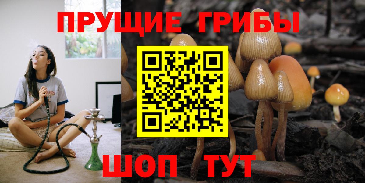 Псилоцибиновые грибы Psilocybine cubensis Сертолово